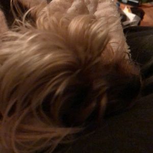 Meet your Posher, Liz